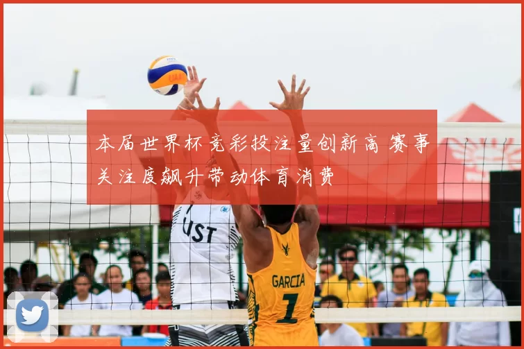 本届世界杯竞彩投注量创新高 赛事关注度飙升带动体育消费