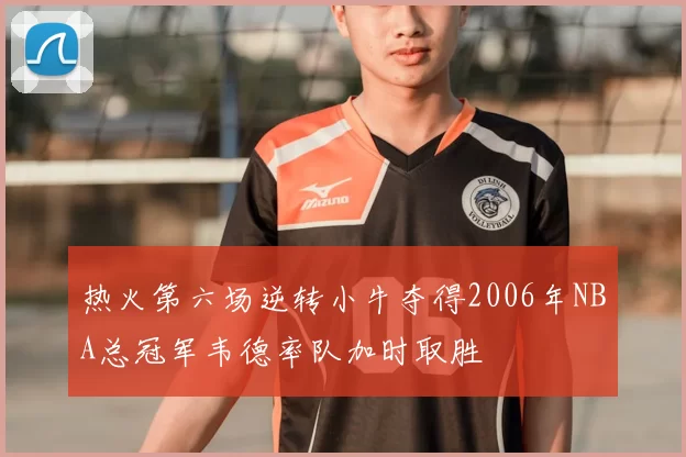 热火第六场逆转小牛夺得2006年NBA总冠军韦德率队加时取胜