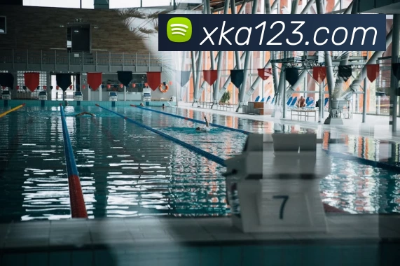 多媒体互动体验