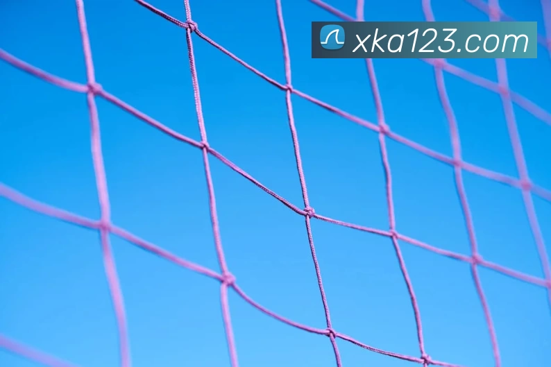 开云(中国)Kaiyun·官方网站 - 登录入口APP 高清赛事图